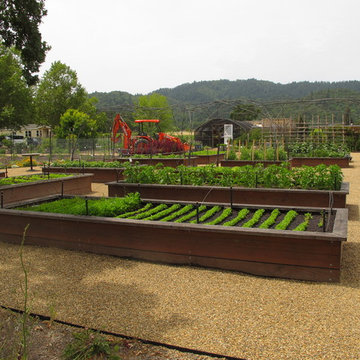 Vegetable gardens