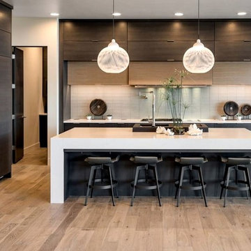 Modern Kitchens