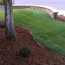 Landscaping Front yard