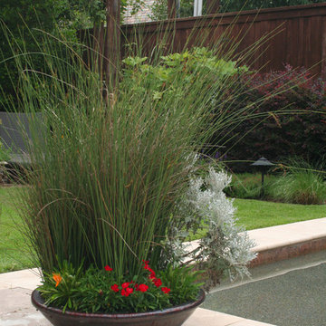 Contemporary Pool Compliments English Garden Style