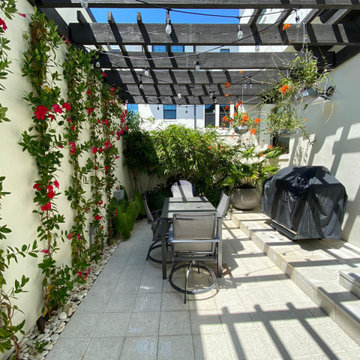 Courtyard Garden I