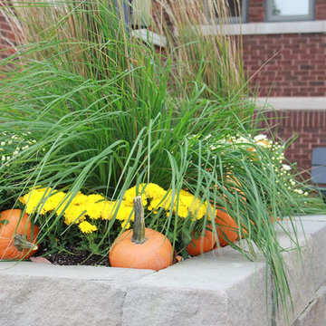 Fall Decorations