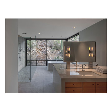 rocks, saguaro, shower and a bath