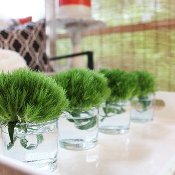 Three Season Porch