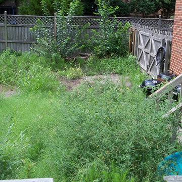 Ugly Yard Contest Winner