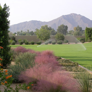 Judson (Paradise Valley)