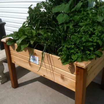 Vegetable & Herb Gardens