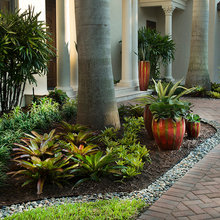 Front Yard Ideas
