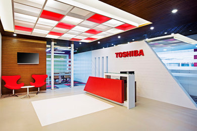 Toshiba Software