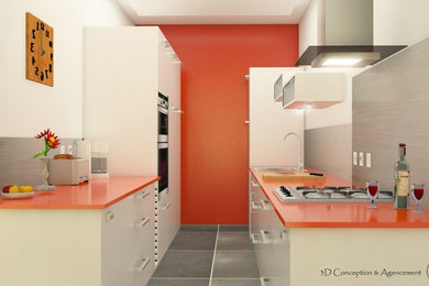 Contemporary kitchen in Lyon.