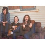 Joel Levine's photo