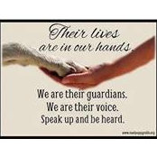 Denise Gunn's photo