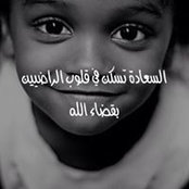 Walaa Solimanさんの写真