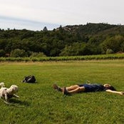 Ellen Wong's photo