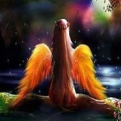 Valerie Gammage's photo