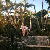 Csilla Kollo's photo