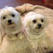 Claire Levan's photo