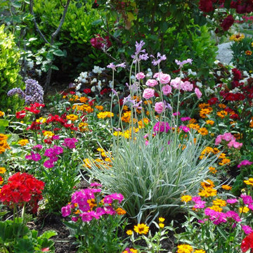 Gardening Ideas