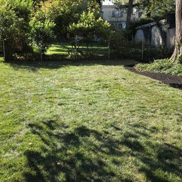 Lawn Grading & Sod Installation - Rexford, NY