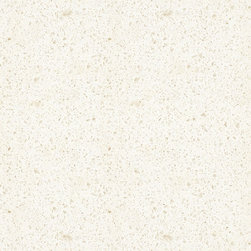 QUARTZ COUNTER TOP AND FLOOR - Kitchen Countertops