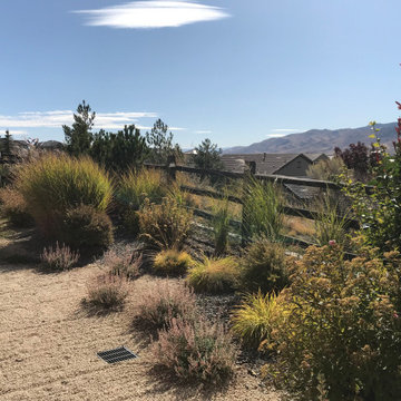 Waterwise Garden with Seasonal Interest