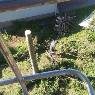 Tree Work