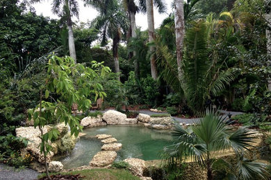 This is an example of a tropical landscaping in Miami.