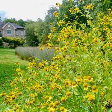 Native Meadow