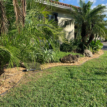 Tropical appeal for equestrian farm entrance