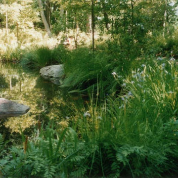 Landscape Architecture