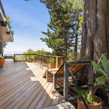 Radiant Hills House