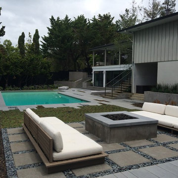 Contemporary Hillsborough Poolside
