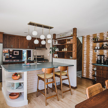 Mid-Century Modern Kitchen
