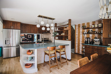 1960s kitchen photo in Other