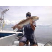 Matthew Cavalieri's photo