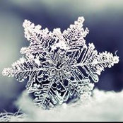 Michelle Sauer's photo