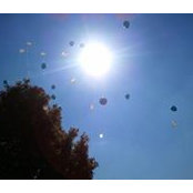 Brandi 'Lowe' Lopez's photo