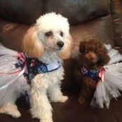 Terri Baker Strawn Sr.'s photo