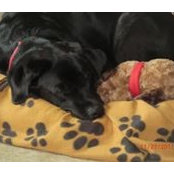 Toni Hibbits's photo