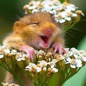 Carina Dunn's photo