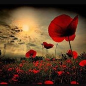 Pippa Campbell's photo