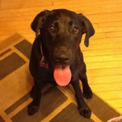 Brandon Miller's photo