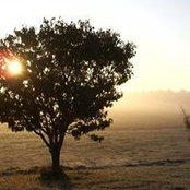Dan Carter's photo