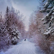 Foto von Dora Plancon