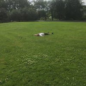 Michael Nino Evensen's photo
