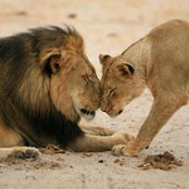 Sue Halliday's photo