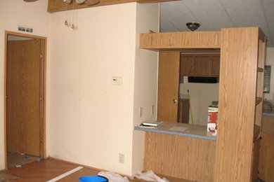 Puyallup remodel