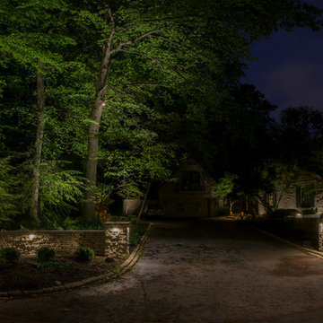 Woodland home