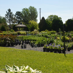 The Nursery - Products