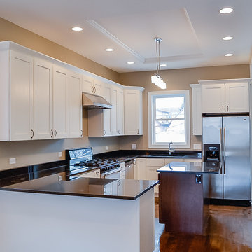 Wicker Park Two-Flat Single Family Gut Rehab - Kitchen